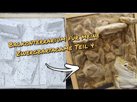 Vlog Balkonterrarium für meine Zwergbartagame Teil 4