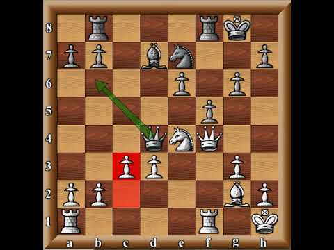 Win in Closed Sicilian gm#22: Rb8 lines..Bronstein-Keres 1953