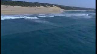 preview picture of video 'The Sardine Run: uShaka Sea World'