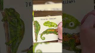 How to Draw Chameleons!