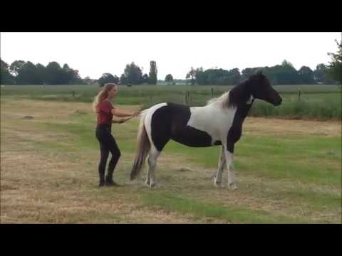 Anna & Speedy - This Is Us