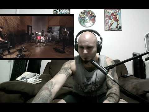 Reaction- Russian Circles- 309