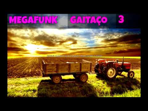 MegaFunk GAITAÇO 3 DJ João Vitor