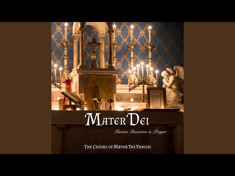 Beata Viscera: Communion