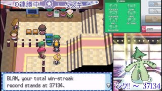 【ポケモンHGSS】ゴーストタイプが妙に怖いノクタスVS金ケイト！！【Battle Hall】【概要欄見て!!】