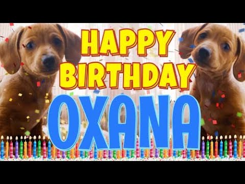 Happy Birthday Oxana! ( Funny Talking Dogs ) What Is Free On My Birthday
