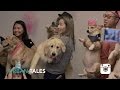 Jacqueline And Her Dog S Dog S Life Not Ep3 Urban Tales Season One REPLAY