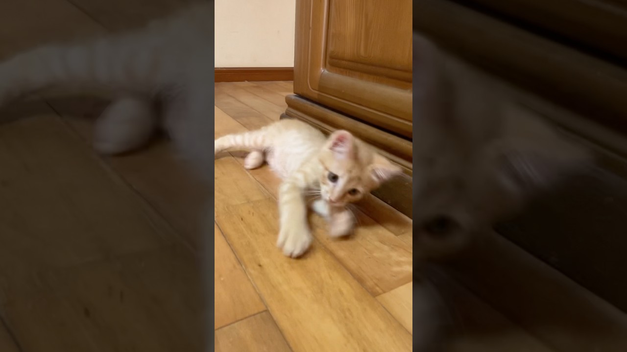 おっと、びっくり！