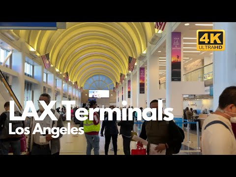 image-Do you need Covid test to Fly LAX?