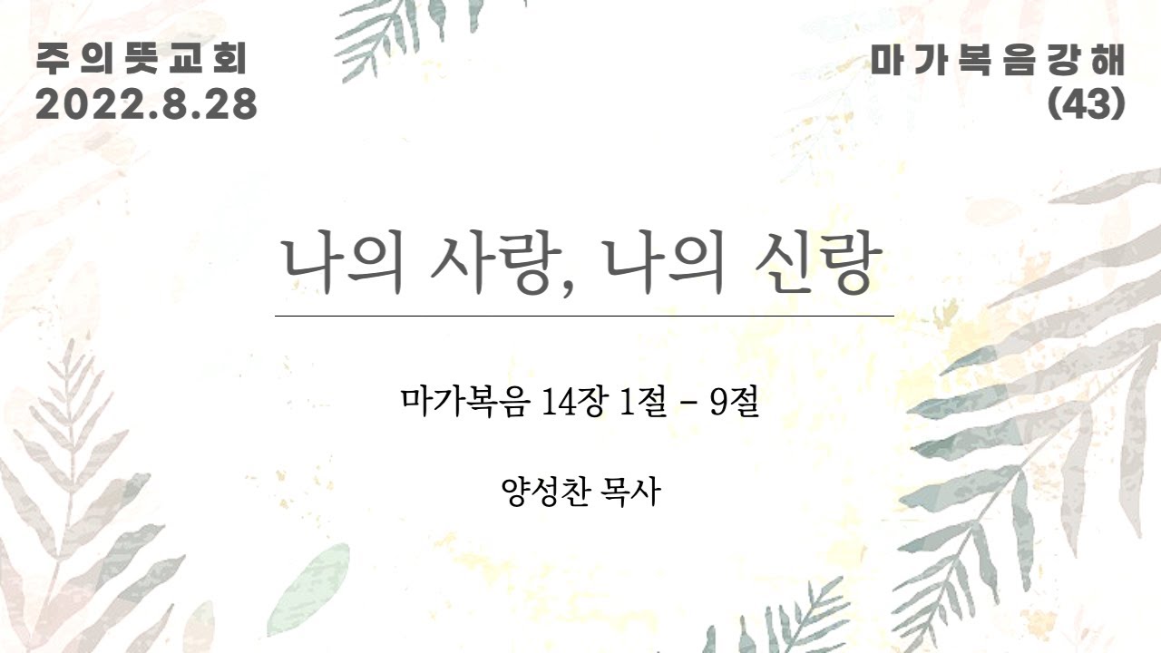 마가복음 강해(43), 나의 사랑, 나의 신랑, 마가복음 14장 1-9절, 양성찬 목사, 주의뜻교회 영상 썸네일
