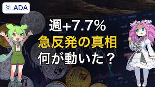 【カルダノ】週+7.68%｜Dijkstraノード出荷と財務省投票が話題に【レポート期間:9/12〜9/19】