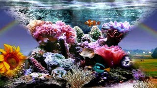 Frank Duval - Cry For Our World - 1981 - Made By Els.