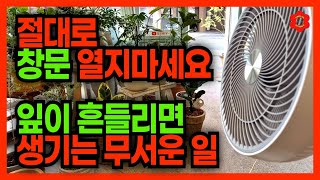 [이 영상은 늦게 볼수록 99% 손해봅니다
