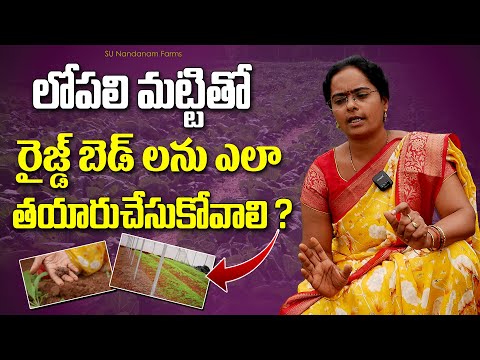 Natural Farming With Raised Bed Method | Construction of raised beds with soil Farmer Sunanda#org...