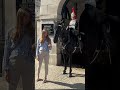 Woman And Horse Fall In Love London History Buckinghampalace Tourist Queens Kingsguard