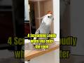 5 Signs Your Bird Hates You ❎