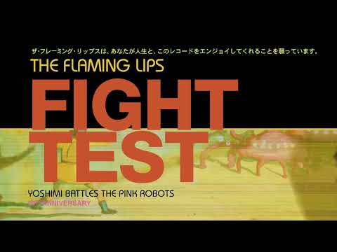 Fight Test