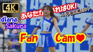 【4K/60P】あなたがいればOK!×diana2024　SakuraさんFancam　＃チア　＃チアダンス　＃あなたがいればOK