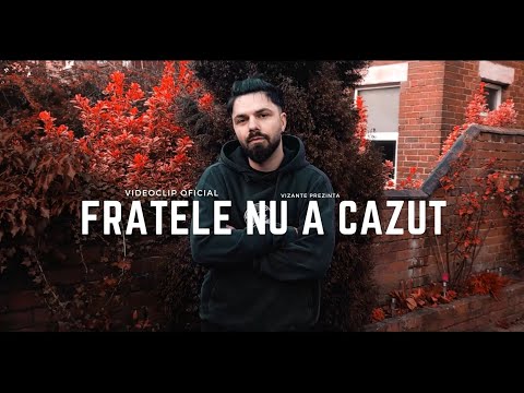 Vizante - Fratele nu a căzut, fratele a reușit!💪 (Videoclip Oficial)