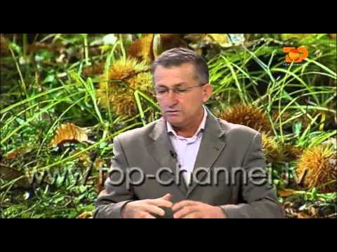 Ne Shtepine Tone, 11 Nentor 2015, Pjesa 2 - Top Channel Albania - Entertainment Show