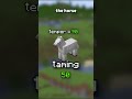 How To Tame A Horse INSTANTLY