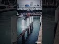 Knees Of Steel Redbull Trollface Edit Shortsfeed Shorts Viral Trending Fyp