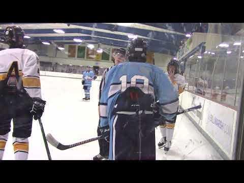 Game Misconduct penalty