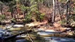 preview picture of video 'Beavers Bend Hiking'