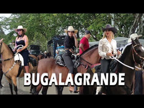 IMPERDIBLE! Cabalgata Fin de Año BUGALAGRANDE Valle del Cauca | COLOMBIA | 2024 | Yisus Vlogger