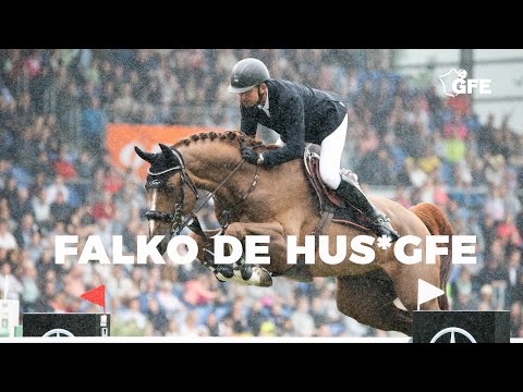 FALKO DE HUS *GFE