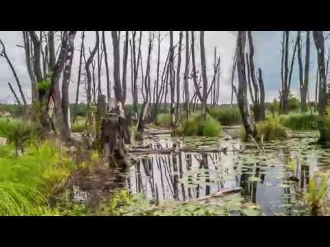 Time Lapse Łysy Młyn