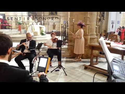 Vídeo Sentir Sonoro 1