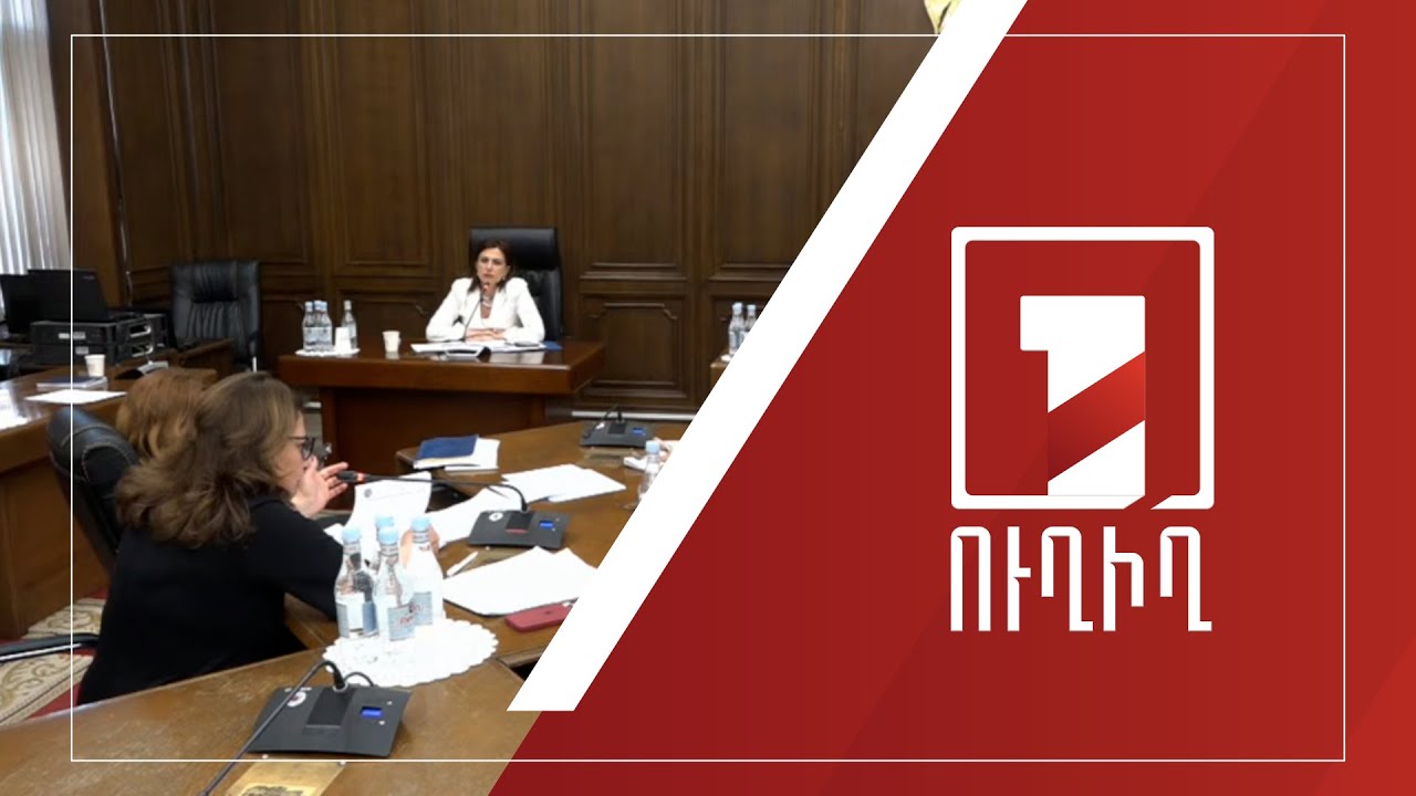 2024-ի պետբյուջեի կատարողականը՝ ԱԺ մշտական հանձնաժողովների համատեղ նիստում | ՈՒՂԻՂ