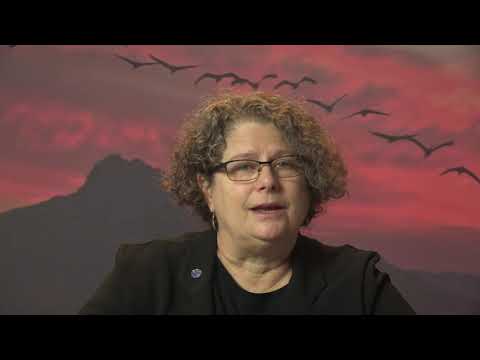 Statement by Amy Fraenkel to mark World Migratory Bird Day 2020