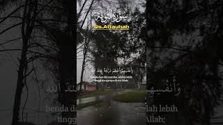 Download lagu ALLAH IS THE GIVER OF SUCCESS SO NEVER BE AFRAID TO SHARE 😇#allah #alquran #shots #muslim mp3 Download lagu ALLAH IS THE GIVER OF SUCCESS SO NEVER BE AFRAID TO SHARE 😇#allah #alquran #shots #muslim mp3