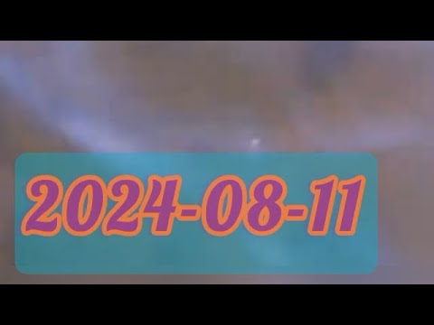 Skörjesjön - Backaryd - med gammal Sanyo Xacti videokamera - 4x speed - 2024-08-11 #ronneby