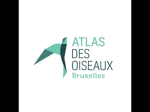 Lancement de l'Atlas des Oiseaux de Bruxelles 23 février 2022