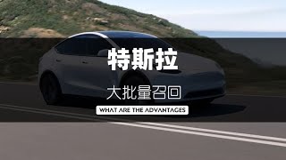 [電車] 特斯拉OTA不用回廠更新軟硬體哪家可以?