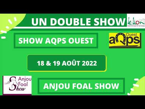 AQPS et ANJOU FOAL SHOW 2022 au Lion d'Angers