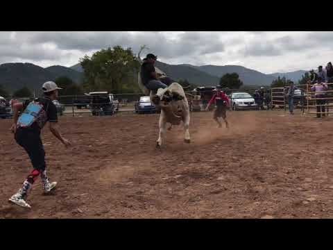 BULL RIDING PRACTICE #02