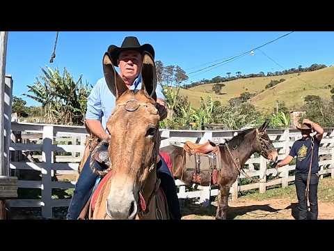 O RANCHO DO BANANA EM SAPUCAÍ MIRIM-MG 2026
