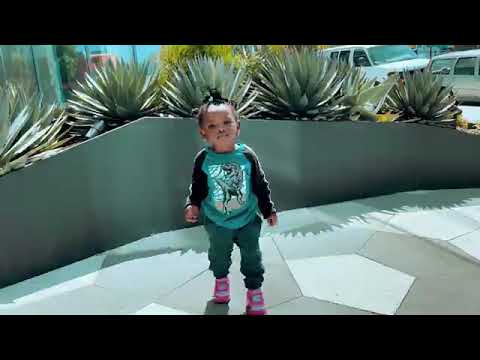 Karsis senator feat sethlo - pas toucher (officiel vidéo)