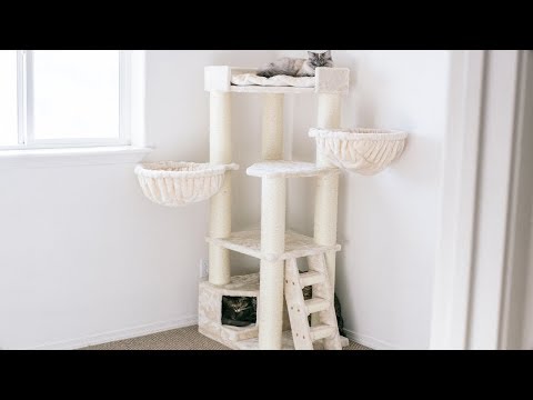 Setting Up Our Cat Tree from Cat Tree King!