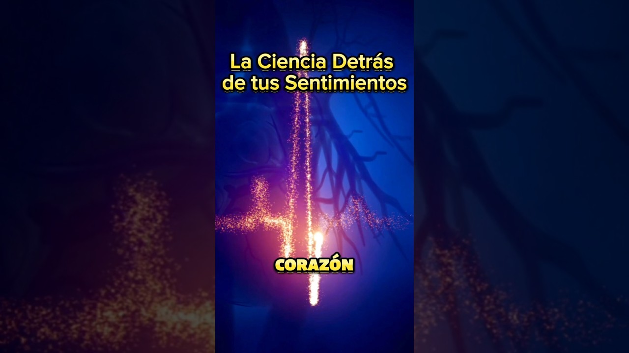 Francisco Etchegaray-27