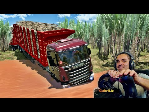 ENTREI NA ÁGUA PARA PEGAR A CARRETA CANAVIEIRA - Vida de Caminhoneiro #240 - Euro Truck Simulator 2