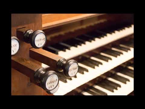 'Ich stehe mit einem Fusz im Grabe' (Bach)  | St. Servatius Schijndel | Orgel: Gert-Jan Westerhof