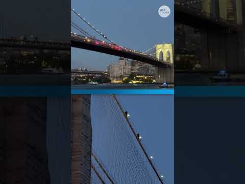 Brooklyn Bridge climber prompts rescue above New York City. See video.