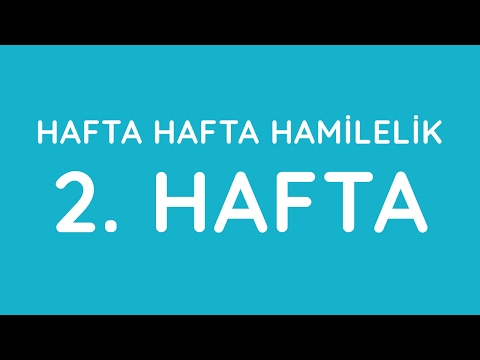2.Hafta - Hafta Hafta Gebelik - Hamilelik | Anneysen.com