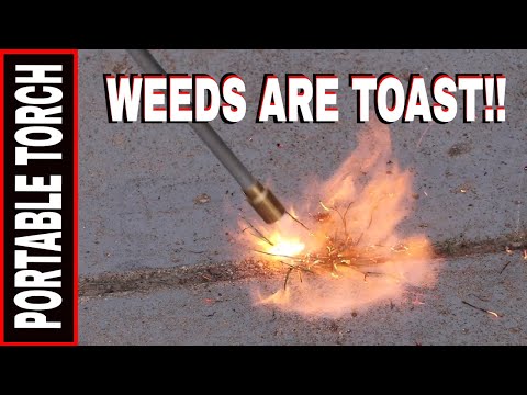 WEED TORCHING TOOL COMPARISON- MR HEATER vs MAG-TORCH UTILITY TORCH
