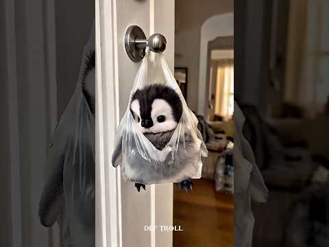 small penguin cute animal transformation